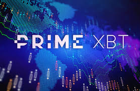 Understanding Privacy Policy PrimeXBT Your Data Matters Understanding Privacy Policy PrimeXBT Your Data Matters